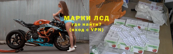 эйфоретик Баксан