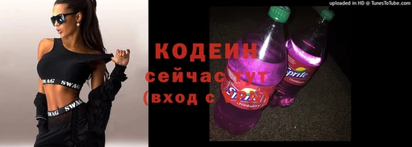 хмурый Сосновый Бор