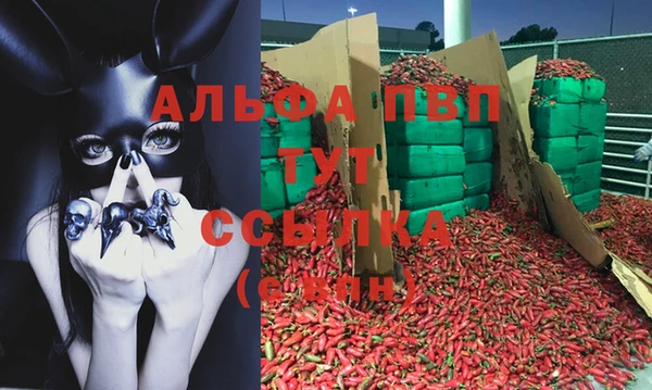 эйфоретик Баксан