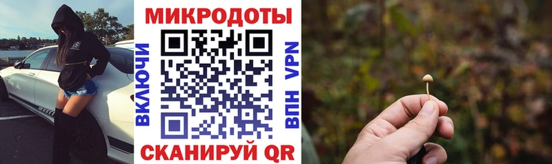 Галлюциногенные грибы Magic Shrooms  Электрогорск 